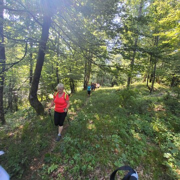 Pohod - Pokojišče 4